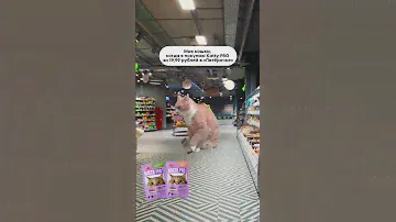 Сколько-сколько?!