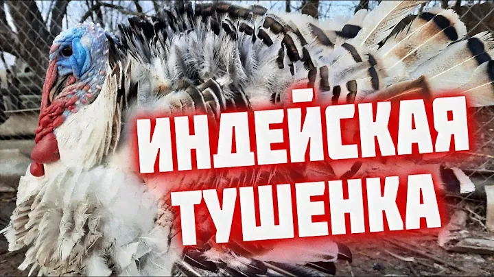 ТУШЕНКА из индейки  Домашняя индейка тушенка в реторт пакете  Диетическая тушенка в автоклаве