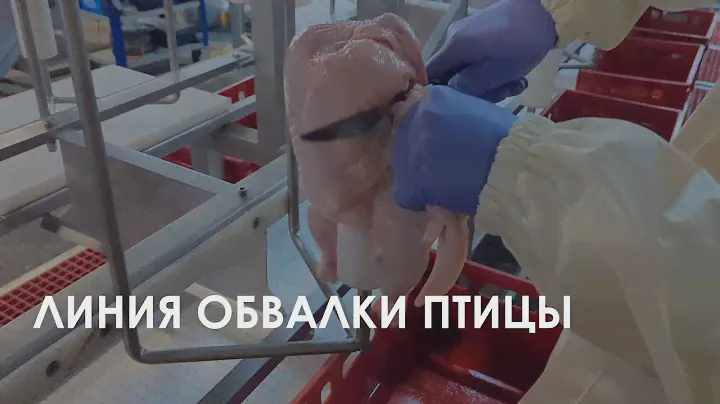 Линия обвалки птицы HD-7/7 FELETI | Chicken cone deboning line