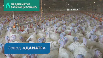 Российский сельскохозяйственный холдинг «Дамате», Пензенская область