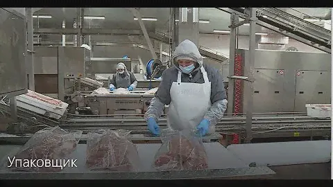 Упаковщик отделения обвалки мяса и изготовления полуфабрикатов.
